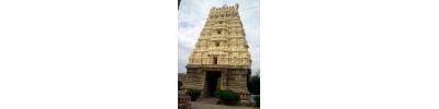 இரத்தின சபை - திருவாலங்காடு